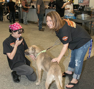 Dads & Dogs adoption Event At Superstition Harley-Davoidson